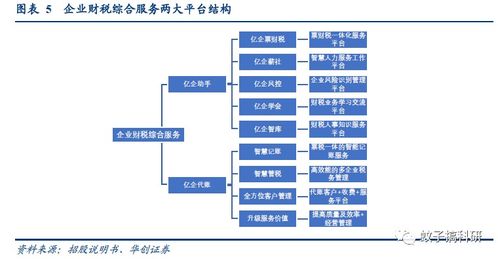 新股丨稅友股份 專注財稅信息化，信息系統集成服務助穩健成長